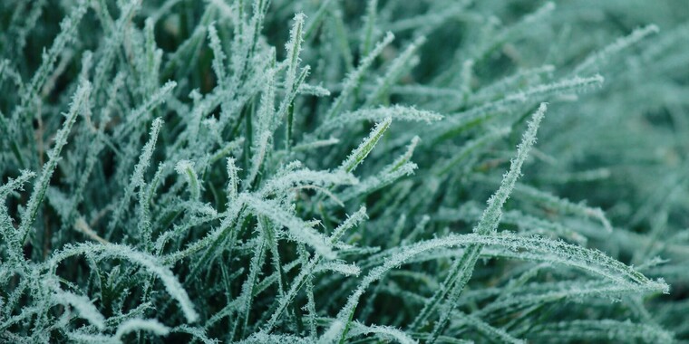 Join the Macro Plants Photo Contest and win Vanguard Backpack - VIEWBUG.com